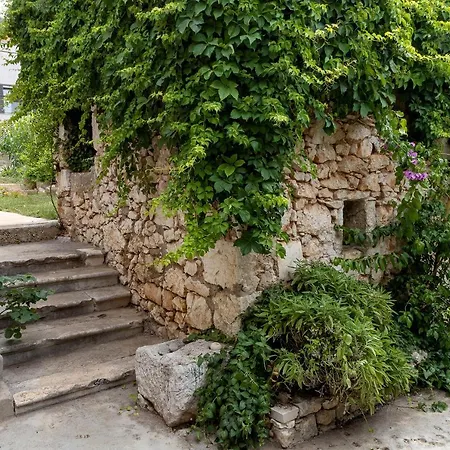 Oasis Center Szybenik