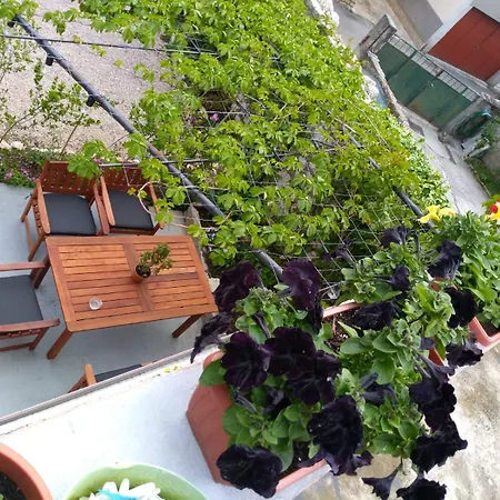 Oasis Center Szybenik