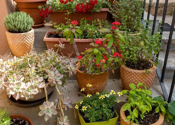 Oasis Center Šibenik