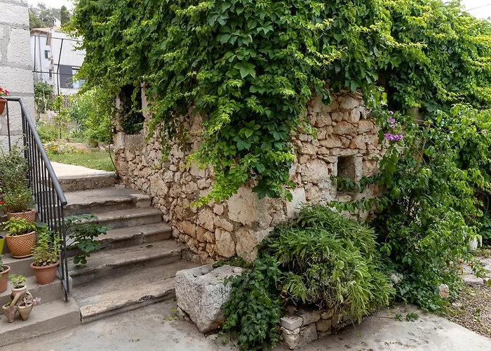 Oasis Center Szybenik