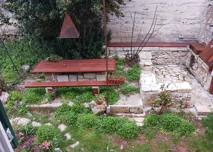 Daire Oasis Center *